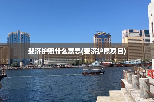 斐济护照什么意思(斐济护照项目)  第1张