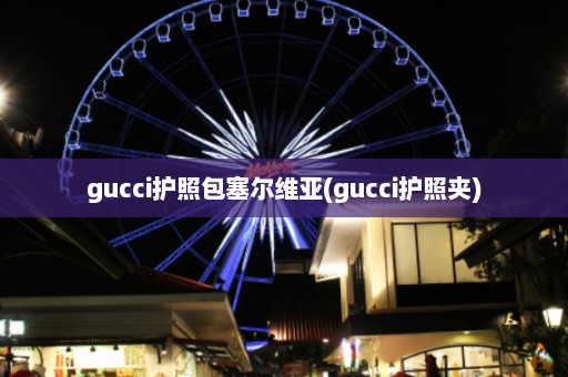 gucci护照包塞尔维亚(gucci护照夹)  第1张