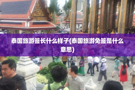 泰国旅游签长什么样子(泰国旅游免签是什么意思)  第1张