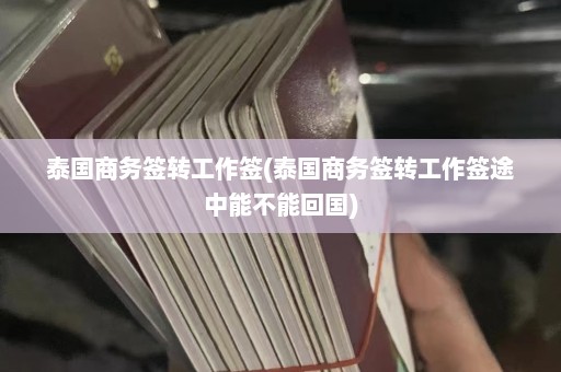 泰国商务签转工作签(泰国商务签转工作签途中能不能回国)