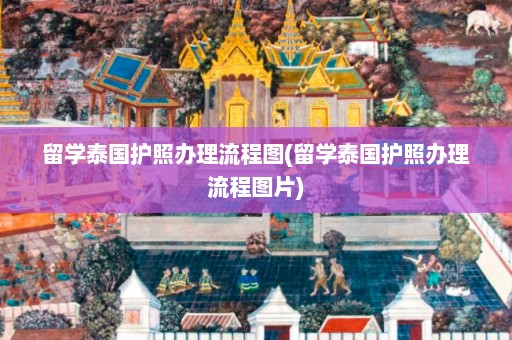 留学泰国护照办理流程图(留学泰国护照办理流程图片)