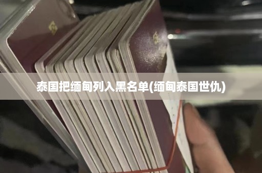 泰国把缅甸列入黑名单(缅甸泰国世仇)  第1张