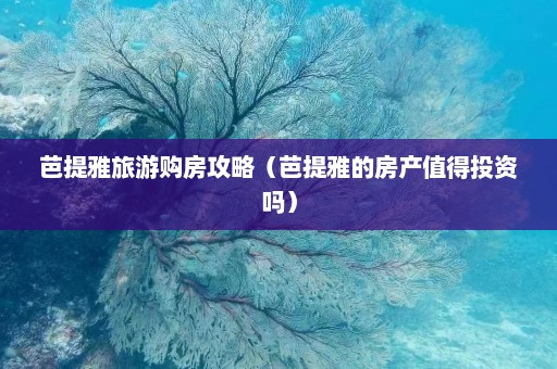 芭提雅旅游购房攻略（芭提雅的房产值得投资吗）