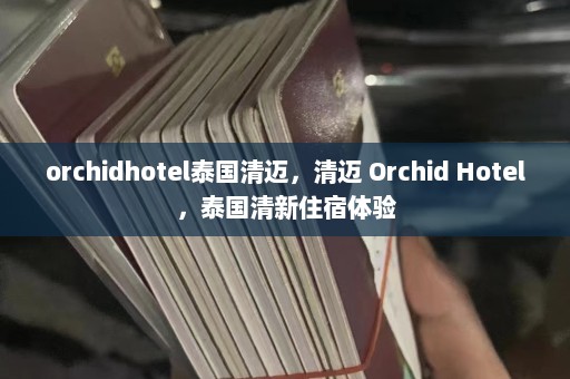 orchidhotel泰国清迈，清迈 Orchid Hotel，泰国清新住宿体验