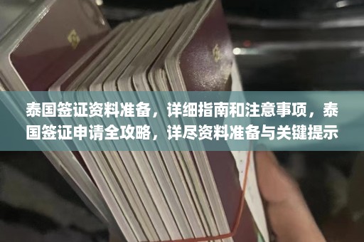 泰国签证资料准备，详细指南和注意事项，泰国签证申请全攻略，详尽资料准备与关键提示  第1张