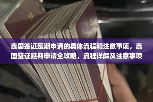 泰国签证延期申请的具体流程和注意事项，泰国签证延期申请全攻略，流程详解及注意事项盘点