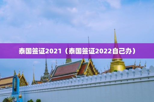 泰国签证2021（泰国签证2022自己办）  第1张