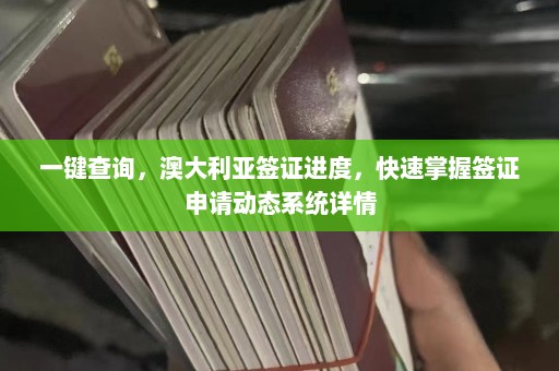 一键查询，澳大利亚签证进度，快速掌握签证申请动态系统详情