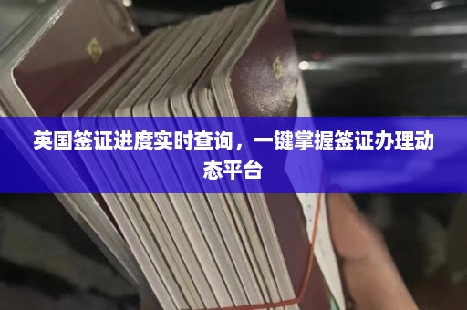 英国签证进度实时查询，一键掌握签证办理动态平台