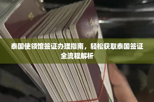 泰国使领馆签证办理指南，轻松获取泰国签证全流程解析