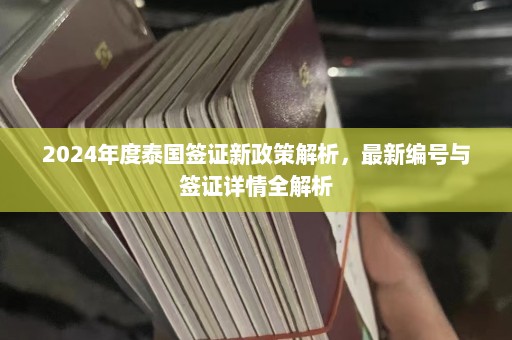 2024年度泰国签证新政策解析，最新编号与签证详情全解析