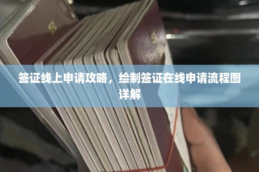 签证线上申请攻略，绘制签证在线申请流程图详解