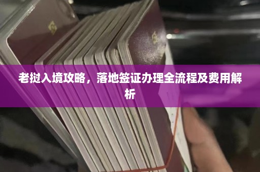 老挝入境攻略，落地签证办理全流程及费用解析