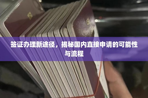 签证办理新途径，揭秘国内直接申请的可能性与流程