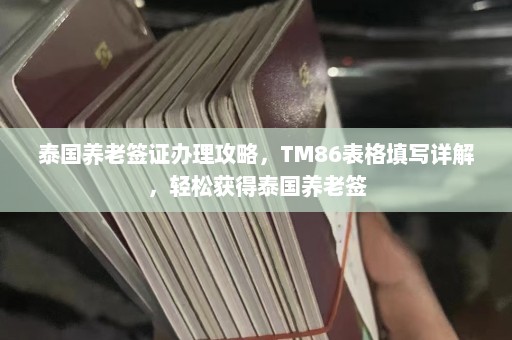 泰国养老签证办理攻略，TM86表格填写详解，轻松获得泰国养老签