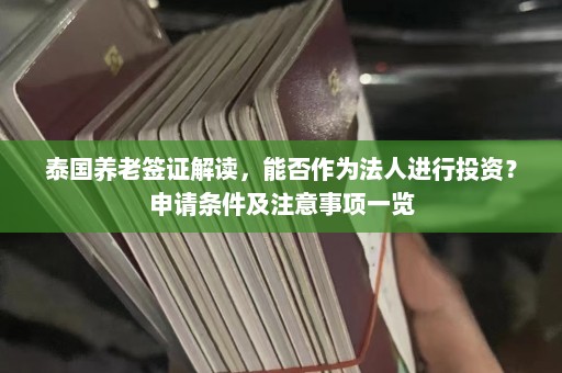 泰国养老签证解读，能否作为法人进行投资？申请条件及注意事项一览