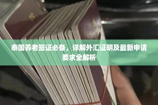 泰国养老签证必备，详解外汇证明及最新申请要求全解析