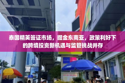 泰国精英签证市场，掘金东南亚，政策利好下的跨境投资新机遇与监管挑战并存