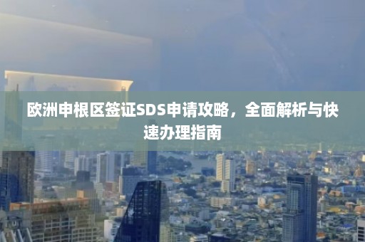 欧洲申根区签证SDS申请攻略，全面解析与快速办理指南