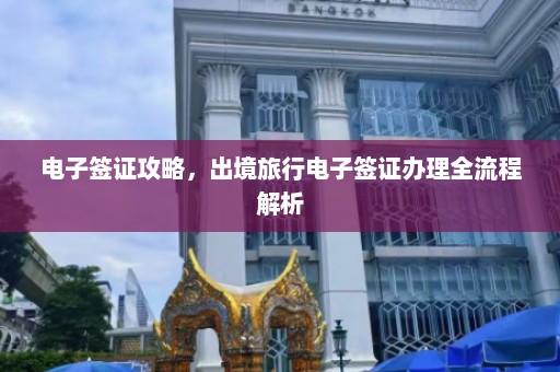 电子签证攻略，出境旅行电子签证办理全流程解析