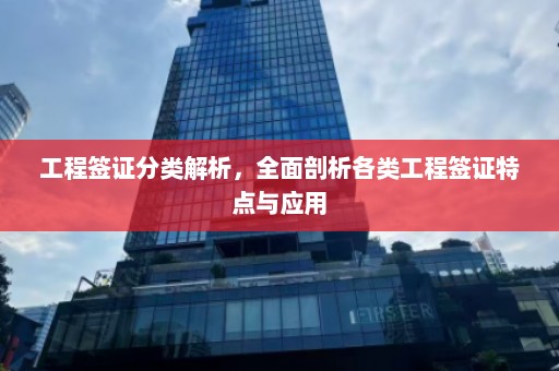 工程签证分类解析，全面剖析各类工程签证特点与应用