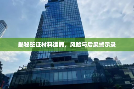 揭秘签证材料造假，风险与后果警示录