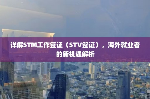 详解STM工作签证（STV签证），海外就业者的新机遇解析