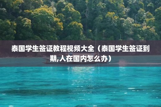 泰国学生签证教程视频大全（泰国学生签证到期,人在国内怎么办）