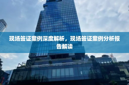 现场签证案例深度解析，现场签证案例分析报告解读