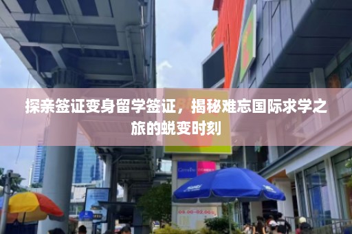 探亲签证变身留学签证，揭秘难忘国际求学之旅的蜕变时刻  第1张