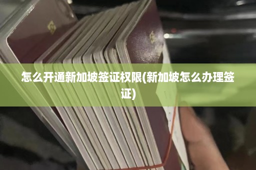 怎么开通新加坡签证权限(新加坡怎么办理签证)