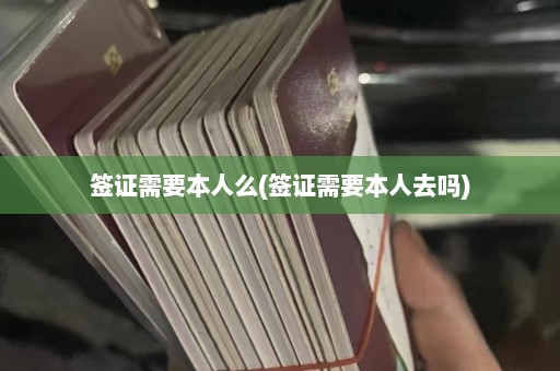 签证需要本人么(签证需要本人去吗)