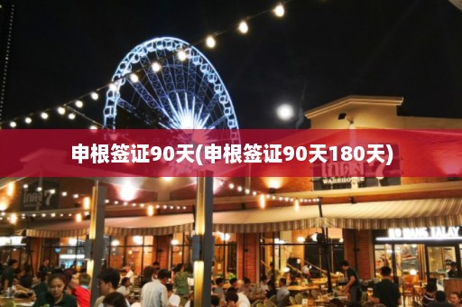 申根签证90天(申根签证90天180天)  第1张