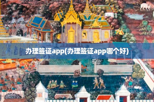 办理签证app(办理签证app哪个好)