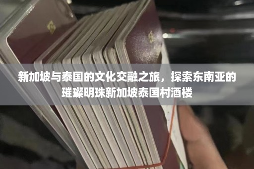 新加坡与泰国的文化交融之旅，探索东南亚的璀璨明珠新加坡泰国村酒楼