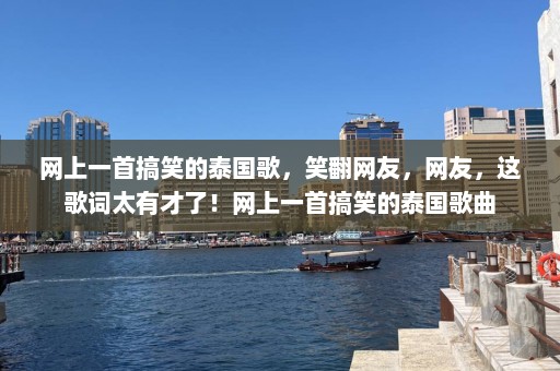 网上一首搞笑的泰国歌，笑翻网友，网友，这歌词太有才了！网上一首搞笑的泰国歌曲  第1张