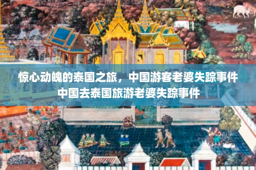 惊心动魄的泰国之旅，中国游客老婆失踪事件中国去泰国旅游老婆失踪事件  第1张