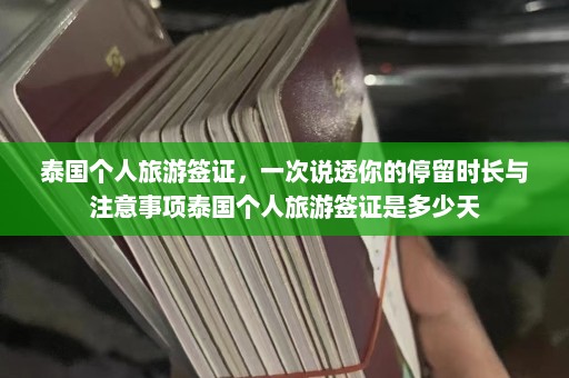 泰国个人旅游签证，一次说透你的停留时长与注意事项泰国个人旅游签证是多少天  第1张