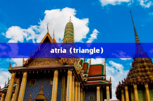 atria（triangle）