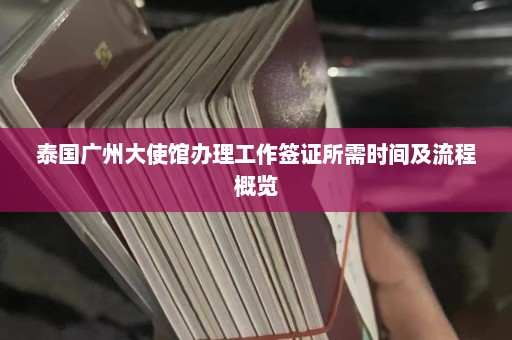 泰国广州大使馆办理工作签证所需时间及流程概览