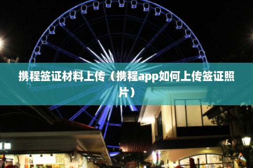 携程签证材料上传（携程app如何上传签证照片）