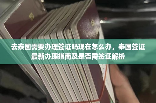 去泰国需要办理签证吗现在怎么办，泰国签证最新办理指南及是否需签证解析