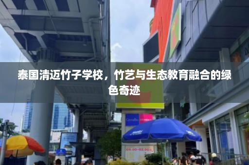 泰国清迈竹子学校，竹艺与生态教育融合的绿色奇迹