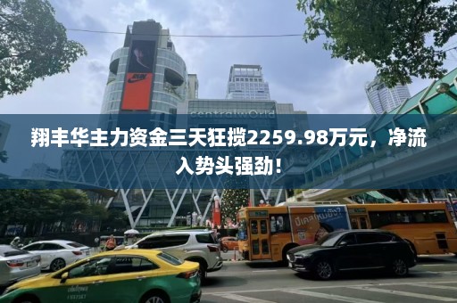 翔丰华主力资金三天狂揽2259.98万元，净流入势头强劲！