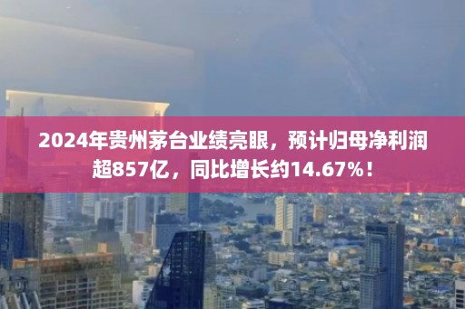 2024年贵州茅台业绩亮眼，预计归母净利润超857亿，同比增长约14.67%！