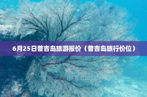 6月25日普吉岛旅游报价（普吉岛旅行价位）