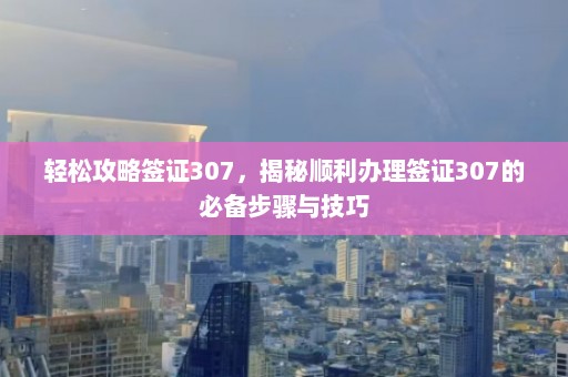 轻松攻略签证307，揭秘顺利办理签证307的必备步骤与技巧