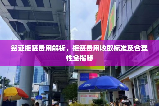 签证拒签费用解析，拒签费用收取标准及合理性全揭秘