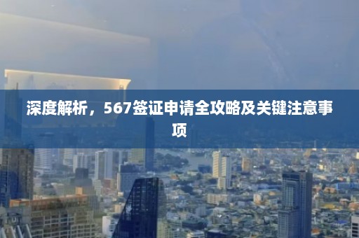 深度解析，567签证申请全攻略及关键注意事项