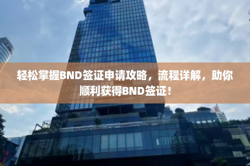 轻松掌握BND签证申请攻略，流程详解，助你顺利获得BND签证！